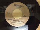 classic oldie THE PROFESSIONALS-THAT'S WHY I LOVE YOU-VOCAL/INSTRUMENTAL