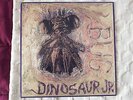 Dinosaur Jr - Bug rare 1988 punk vinyl LP J Mascis SST 216