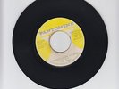 PANTOMINE/HIGHHOLBORN ST. SONG  -  GLEN BROWN    (73  INSTRUMENTAL ROOTS  7