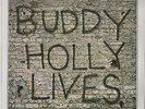 BUDDY HOLLY LP NEW SEALED 20 Golden Greats MCA