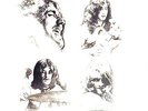 LED ZEPPELIN BBC SESSIONS  4 LP BOX