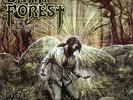 DARK FOREST - The Awakening (LIM.150*GREEN V.*EPIC NWOBHM/UK METAL*IRON MAIDEN)