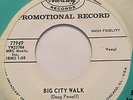 ROCKABILLY PROMO 45/ DOUG POWELL 