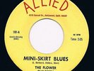 FLOWER CHILDREN mini-skirt blues HEAR MINT- 60s GARAGE beat MOD psych