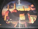PINK FLOYD Animals  LP unplayed PICTURE DISC