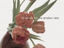 TO ROCOCO ROT - AMATEUR VIEW (LIMITED EDITION) 2 VINYL LP + CD  POP  NEW+