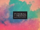 FUNERAL FOR A FRIEND - BETWEEN ORDER AND MODEL [ORANGE VIN  VINYL LP NEW+