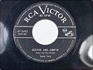 SONNY TERRY Hoopin' & Jumpin' RCA rare 1950's blues harmonica VPI cleaned mp3 45