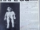 Costes and Suckdog ?– Rape GG rare original LP 1988 experimental