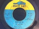 The AD LIBS   Johnny My Boy   Blue Cat Northern Soul 45