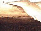 Neil Young, Prairie Wind 2LP Test Pressing SS