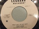 Lenis Guess What Can I do but Cry In My Room Legrand 1044 NM White Label
