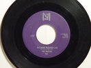 BEATLE VJ 581 45 PLEASE PLEASE ME W/ RARE PURPLE LABEL
