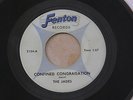 JADES CONFINED CONGRAGATION FENTON orig US G45 GARAGE FOLK ROCK  7
