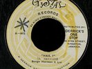 Bongo Herman & Les 