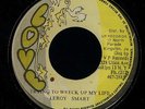Leroy Smart 