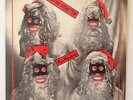 The Residents: Santa Dog '78. Very rare 78RPM single released in 1978