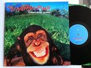 THE SUPERNATURALS IT DOESN'T MATTER ANYMORE UK vinyl  LP