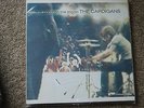 the Cardigans - First Band on the Moon Rare Import Vinyl record lp