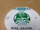 GARAGE PUNK MISS GALORE KING GEORGE & THE CHECKMATES PANORAMA