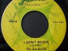 45RPM GARAGE BAND  THE AARDVARKS FENTON 2090