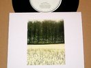 JOY DIVISION Digital/She's Lost Control 7 Vinyl UK Remix 45 A Factory Sample