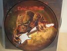 Iron Maiden Picture Disc Record The Trooper in Berlin