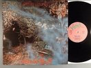 Stefan Zauner  Prism & Views   Prog  Amon Duul II  German Press