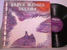 Brimstone - Paper Winged Dreams - Brimstone PP 1022 - private Canton, Ohio psych