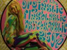 MINDEXPANDERS - IN SEARCH of the ORGIASTIC  GROOVE - NM Picture-Disc Psych Comp