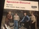 Single 60er-Iguana Sound-Abanori