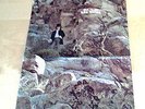 DAVE MASON Alone Together 70 UK 1st ISS HARVEST LP`NO EMI`GIMMIX TRIFOLD SHTC251