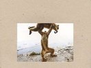 Shellac Dude Incredible 180 GR NEW OVP Touch and Go Vinyl LP
