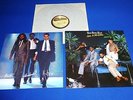 BAD BOYS BLUE -  LOVE IS NO CRIME   LP  --   FROM 1987  QUALITY  FIRST  PRESS.