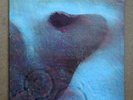 PINK FLOYD – Meddle on vinyl LP