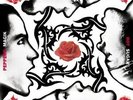 RED HOT CHILI PEPPERS**BLOOD SUGAR SEX MAGIK**2VINYL