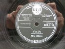 NEIL SEDAKA  
