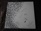 Wilco Sky Blue Sky AUTOGRAPHED double vinyl LP