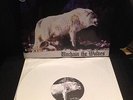 Deströyer 666  - Unchain The Wolves ,Rare white Vinyl LP,  Black Metal / Slayer