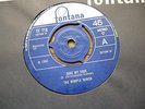 THE WIMPLE WINCH: SAVE MY SOUL / EVERYBODYS: 1966 TF718:  SEE