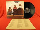 GROUNDHOGS Solid 1974 UK Bluesy Guitar PROG LP WWA Original Textured Cover MINT