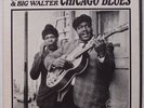 JOHNNY YOUNG & BIG WALTER: Chicago Blues ARHOOLIE scarce STEREO vinyl LP