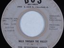 Black Gospel 45 SENSATIONAL SAINTS Walk Through the Valley BOS HEAR