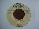 TED RUSSELL &  RHYTHM ROCKERS 45 TEROCK Bright Lights VERY RARE ROCKER Hear 