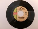 Danny Wagner I Lost a True Love Rare Northern Soul Very Clean hear it.