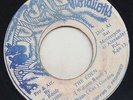 '88 ROOTICAL VIBRATIONS DIGI KILLER 45 ELKANA GORDON THE EDEN rare  ?