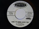 The Association 45 BABE, I'M GONNA LEAVE YOU / BABY CAN'T YOU HEAR VG+ their 1st