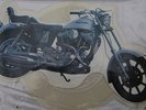 Bruce Springsteen - Motorcycle Interview Vinyl Disc