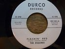 DURCO   45   FRANK ZAPPA REL   THE ESQUIRES   WHAT A BURN   FLASHIN RED   7 NICE