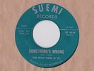 THE WILD ONES SOMETHING'S WRONG SUEMI EL PASO TEXAS GARAGE 45 1965 hear